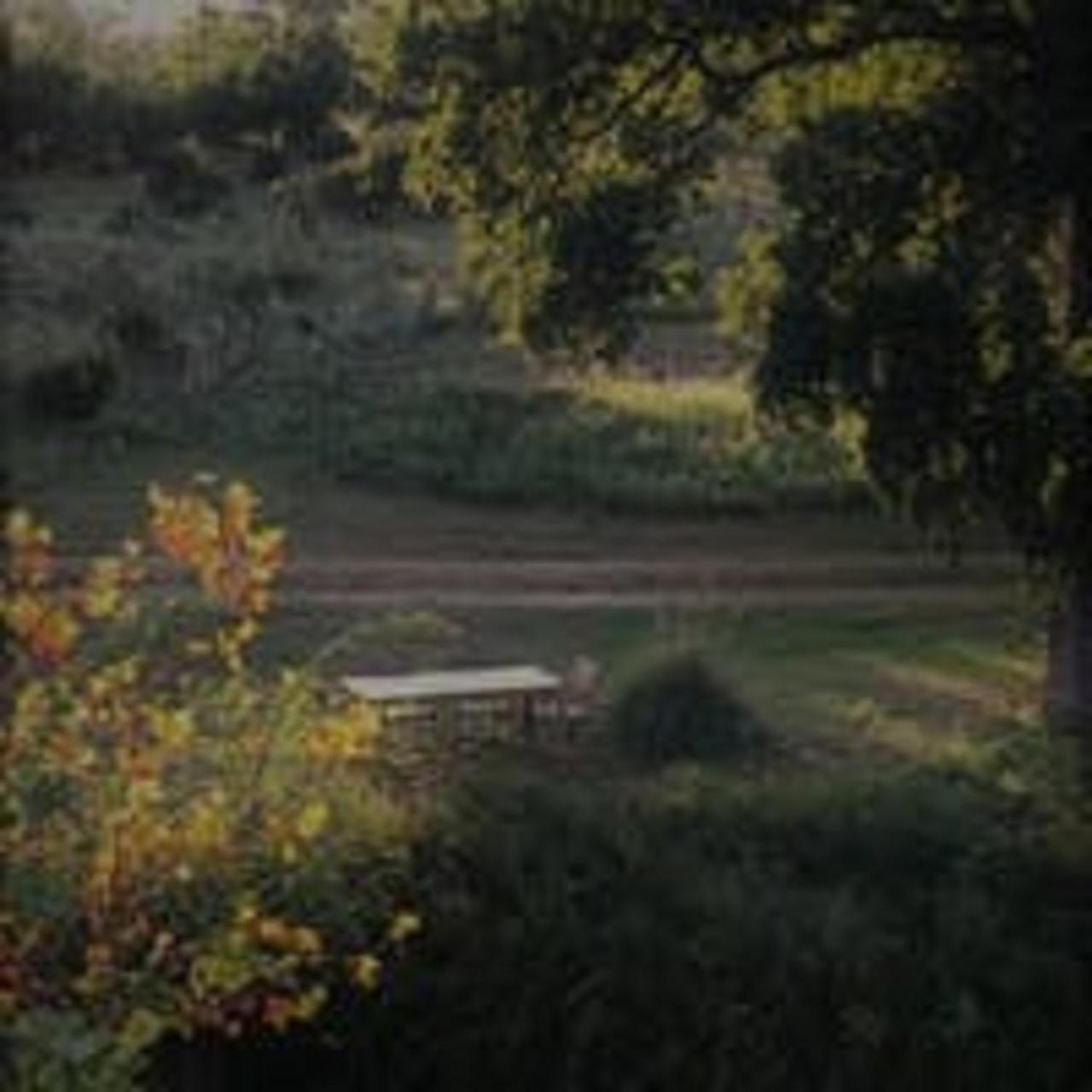City On A Hill At Spring Creek Fredericksburg Exterior photo