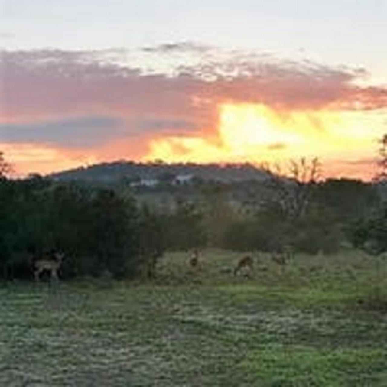 City On A Hill At Spring Creek Fredericksburg Exterior photo